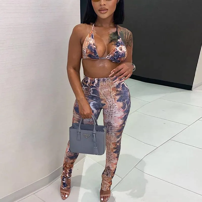 Gradient Color Deep V-neck Top & Pants Set