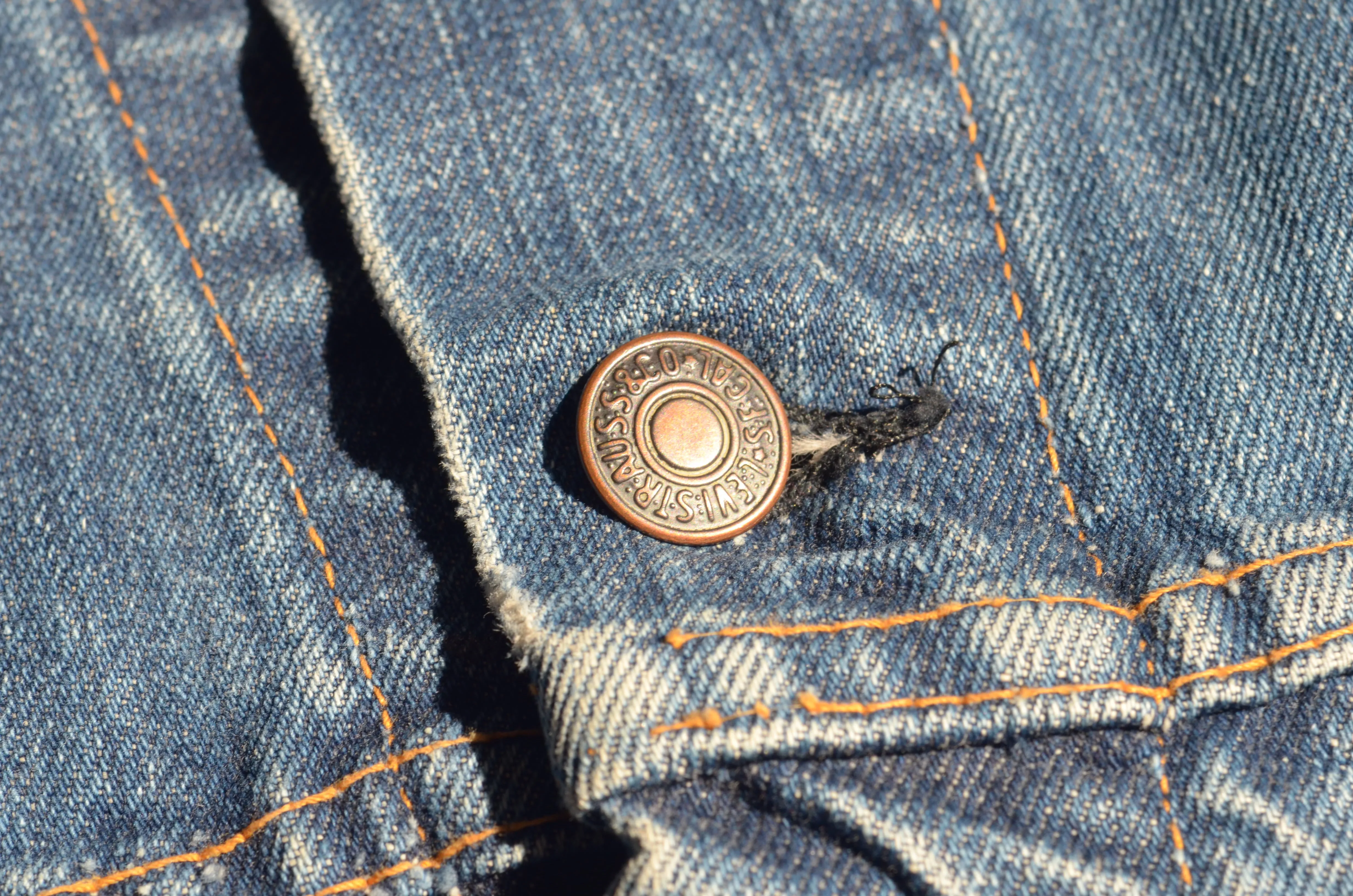 Levi Strauss & Co. - 70505 Big E Denim Jacket 4th Type