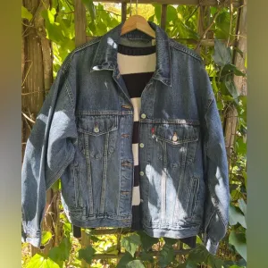 Levi's 90’s Trucker Style Jean Jacket
