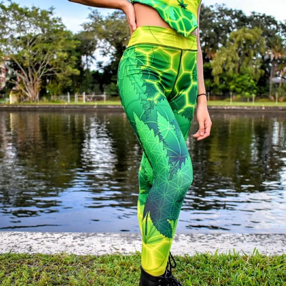 Medicated Leggings
