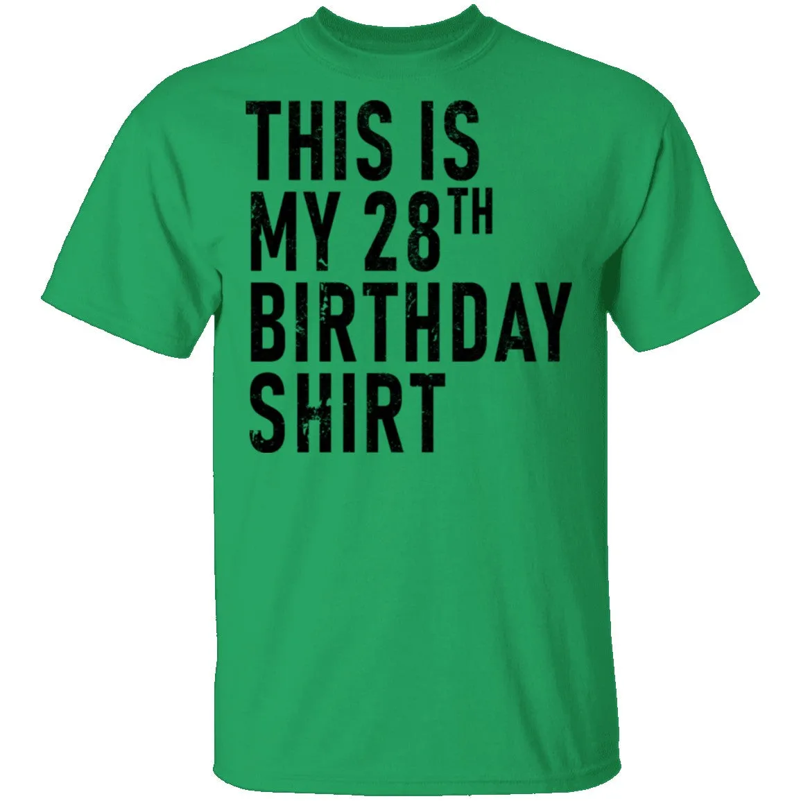 This Is My 28th Birthday Shirt T-Shirt