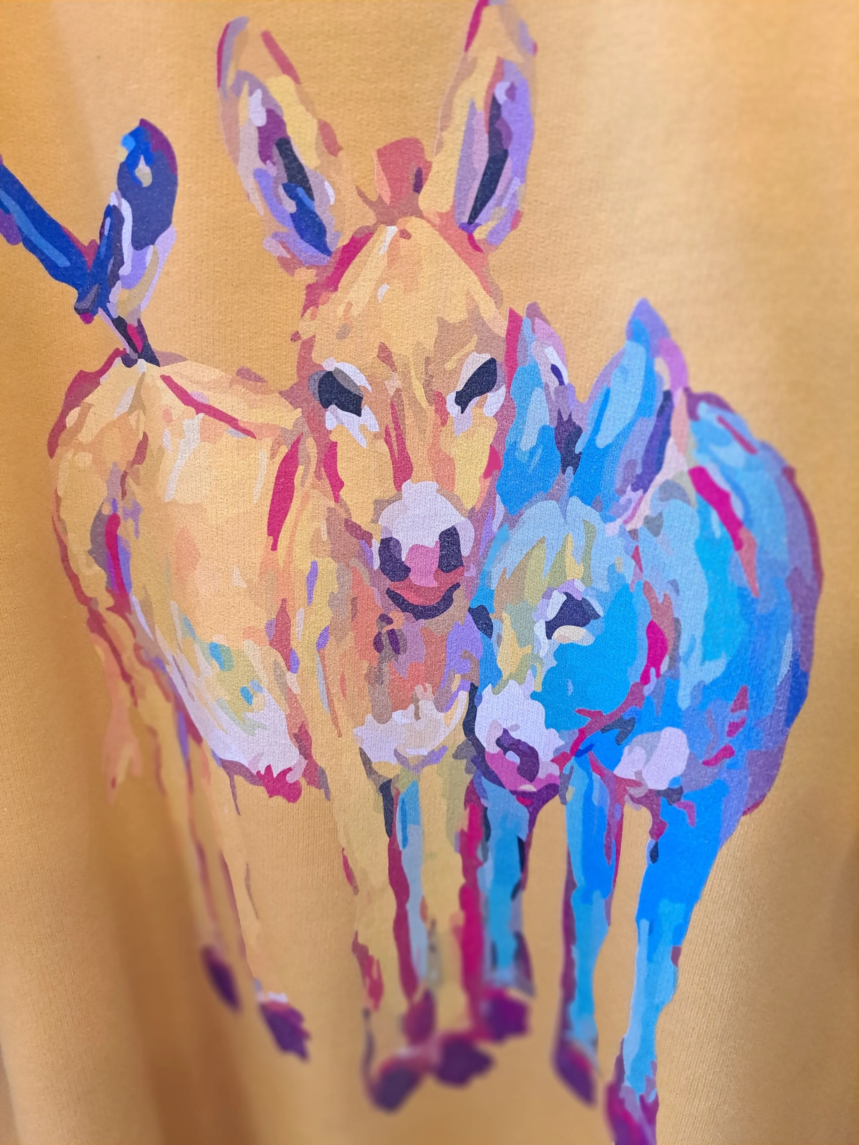 Watercolor Donkey Sweatshirt - WS