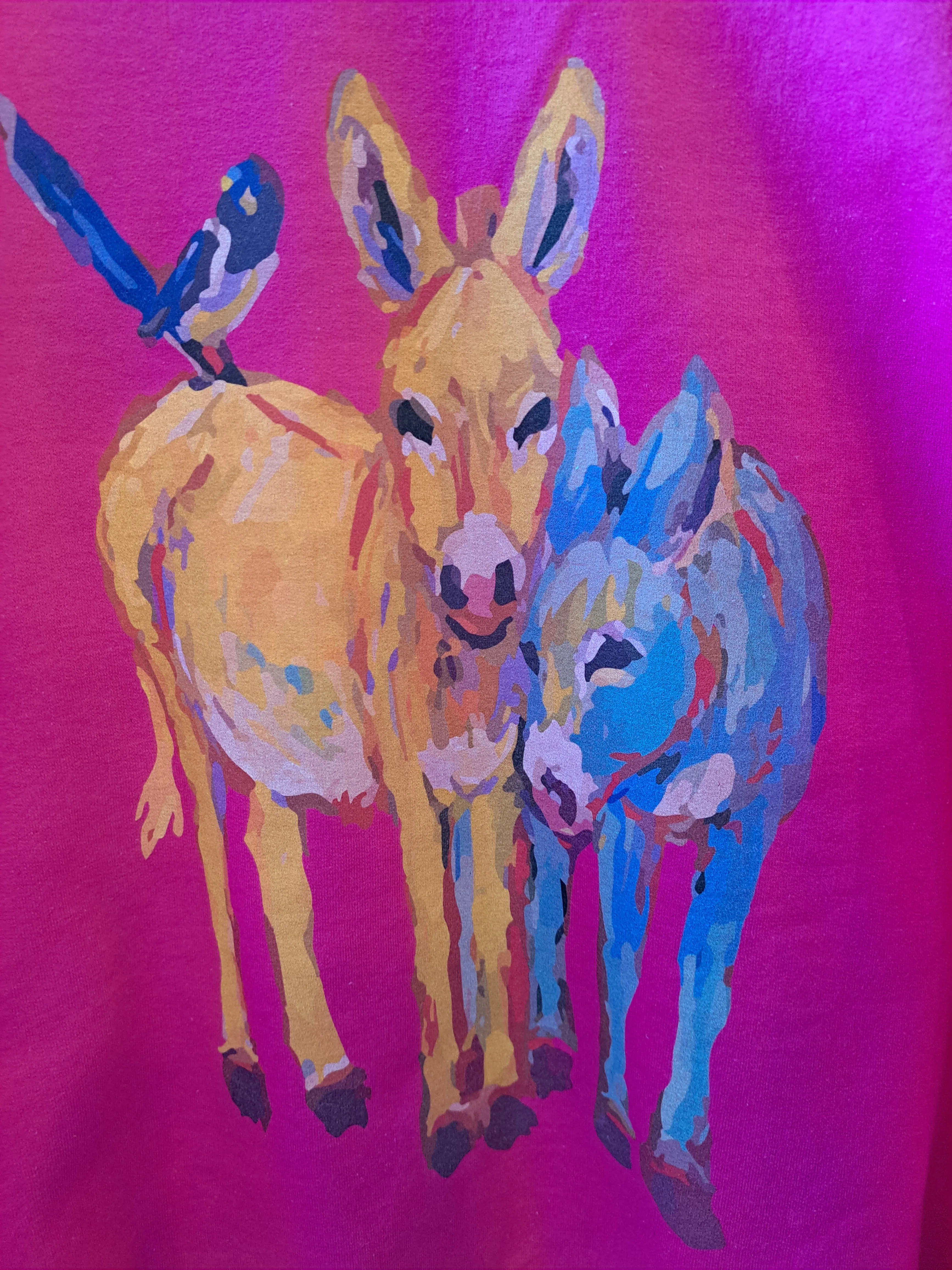 Watercolor Donkey Sweatshirt - WS