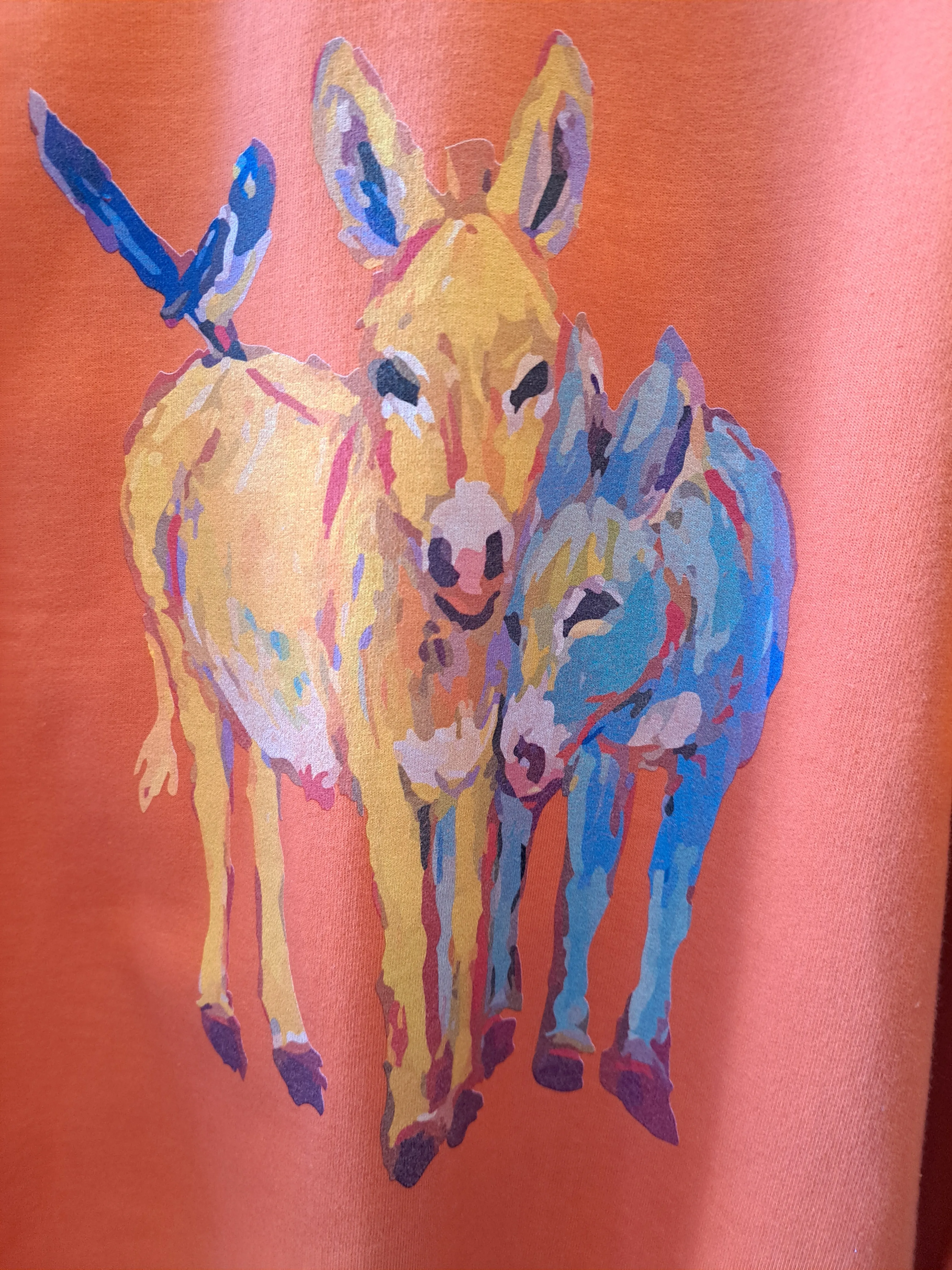 Watercolor Donkey Sweatshirt - WS